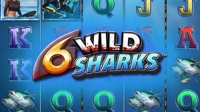 6 wild sharks